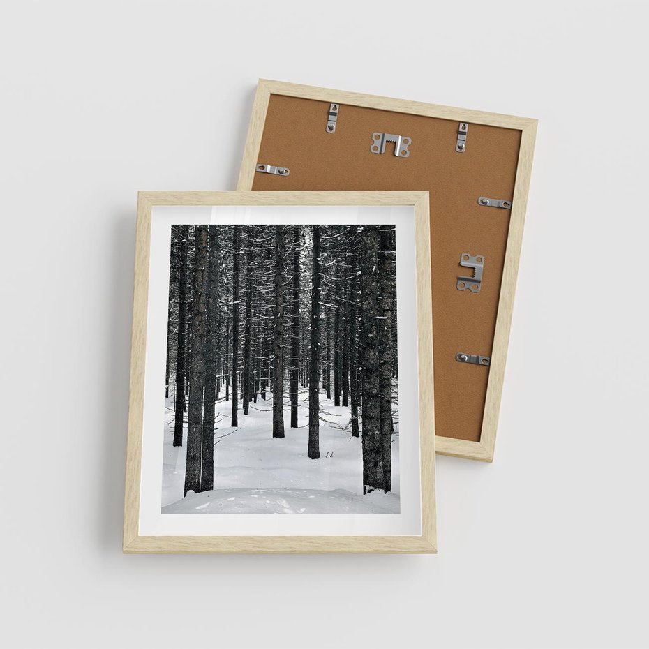 Plakat w ramie 40x50 - Zimowe Drzewa: Śnieg na Pniach - drzew w zimi, pnie drzew - rama drewno