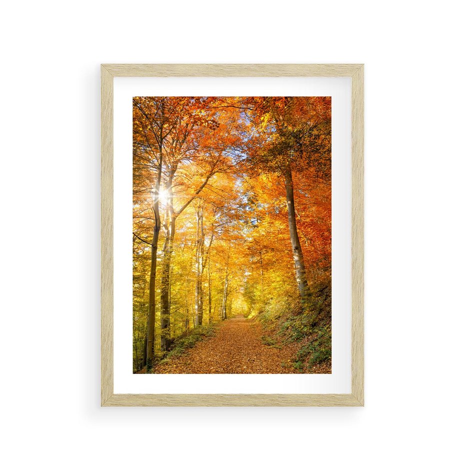 Plakat w ramie 30x40 - Złote barwy jesiennego lasu - las, jesień - rama drewno