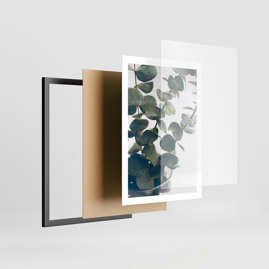 Plakat w ramie 50x70 - ukaliptusowa Harmonia - liście eukaliptusa - rama czarna