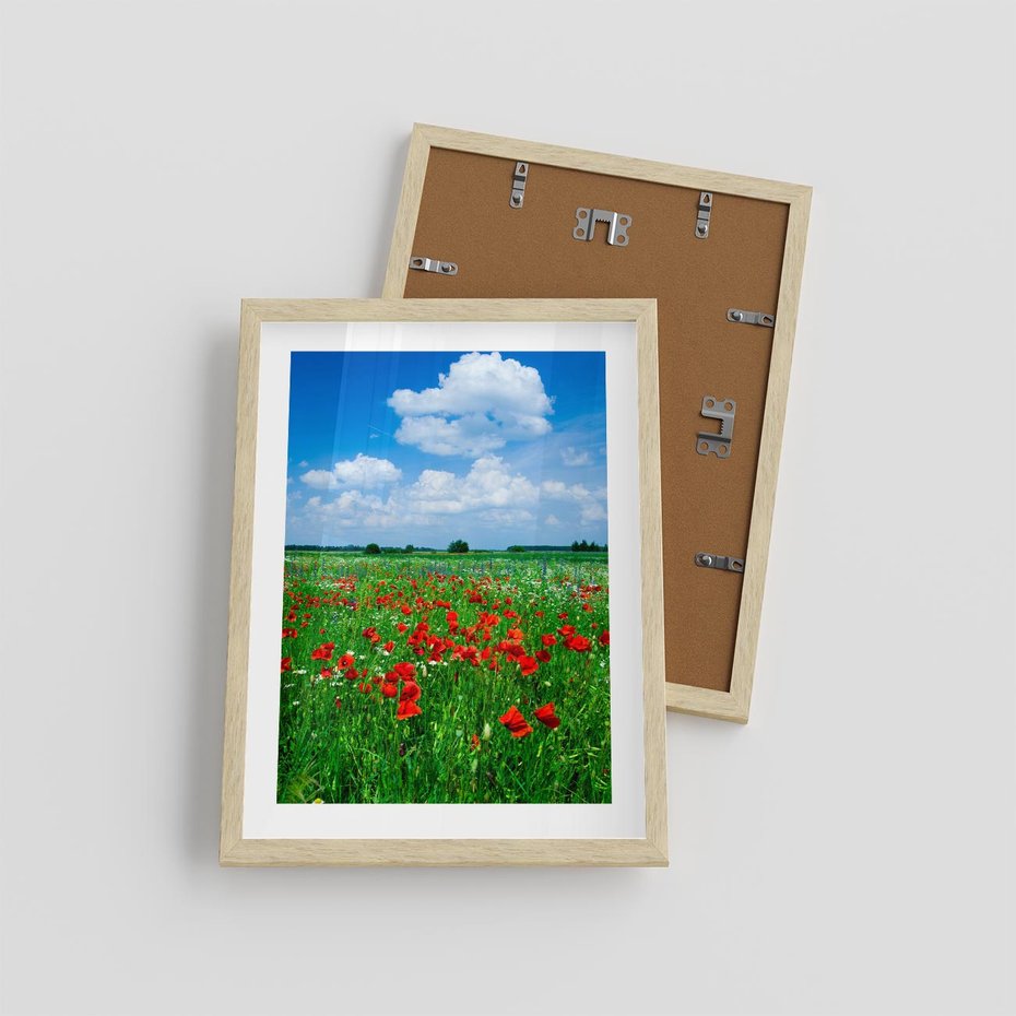 Plakat w ramie 30x40 - Kolorowa łąka pełna maku - łąka, maki - rama drewno