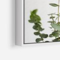 Obraz w ramie 50x50 - Żywa eukaliptusowa zieleń - eukaliptus, zielone - rama biała