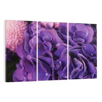 Obraz na płótnie 120x80 - Fioletowa hortensja - kwiaty, hortensja