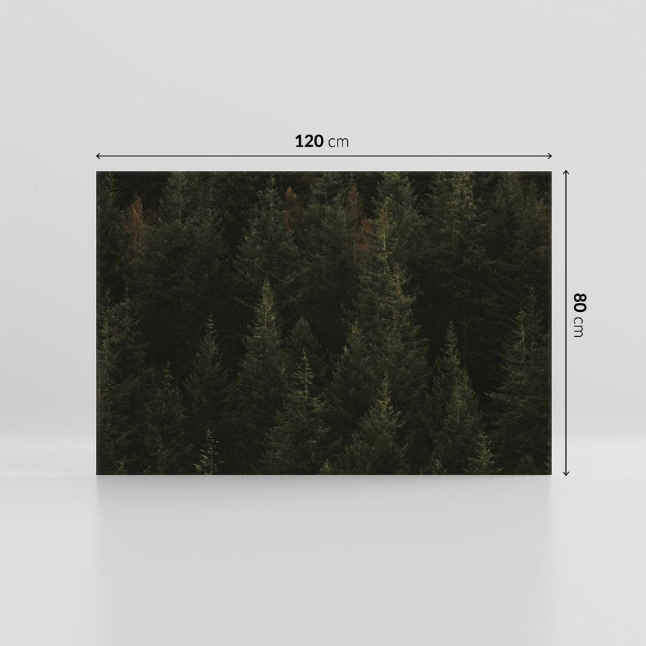 Obraz na płótnie 120x80 - Ciemny las iglasty - las, iglasty