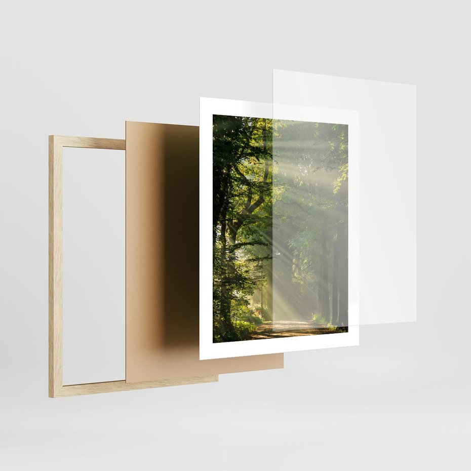 Plakat w ramie 40x50 - harmonia natury - las, drzewa - rama drewno