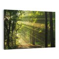 Obraz na płótnie 100x70 - Siła Natury: Las i Drzewa - las, drzewa