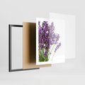 Plakat w ramie 40x50 - Pola lawendy w pełnym rozkwicie - lawenda, kwiaty - rama czarna