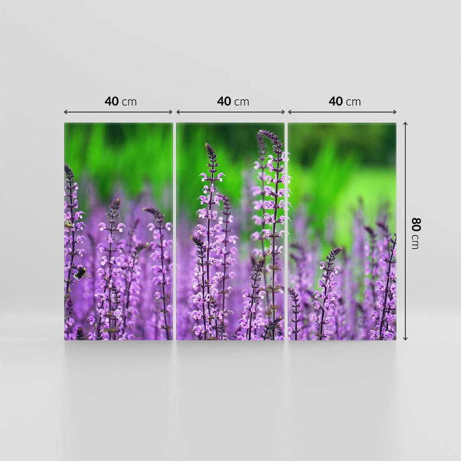 Obraz na płótnie 120x80 - Lawenda magia purpury - lawenda, kwiaty