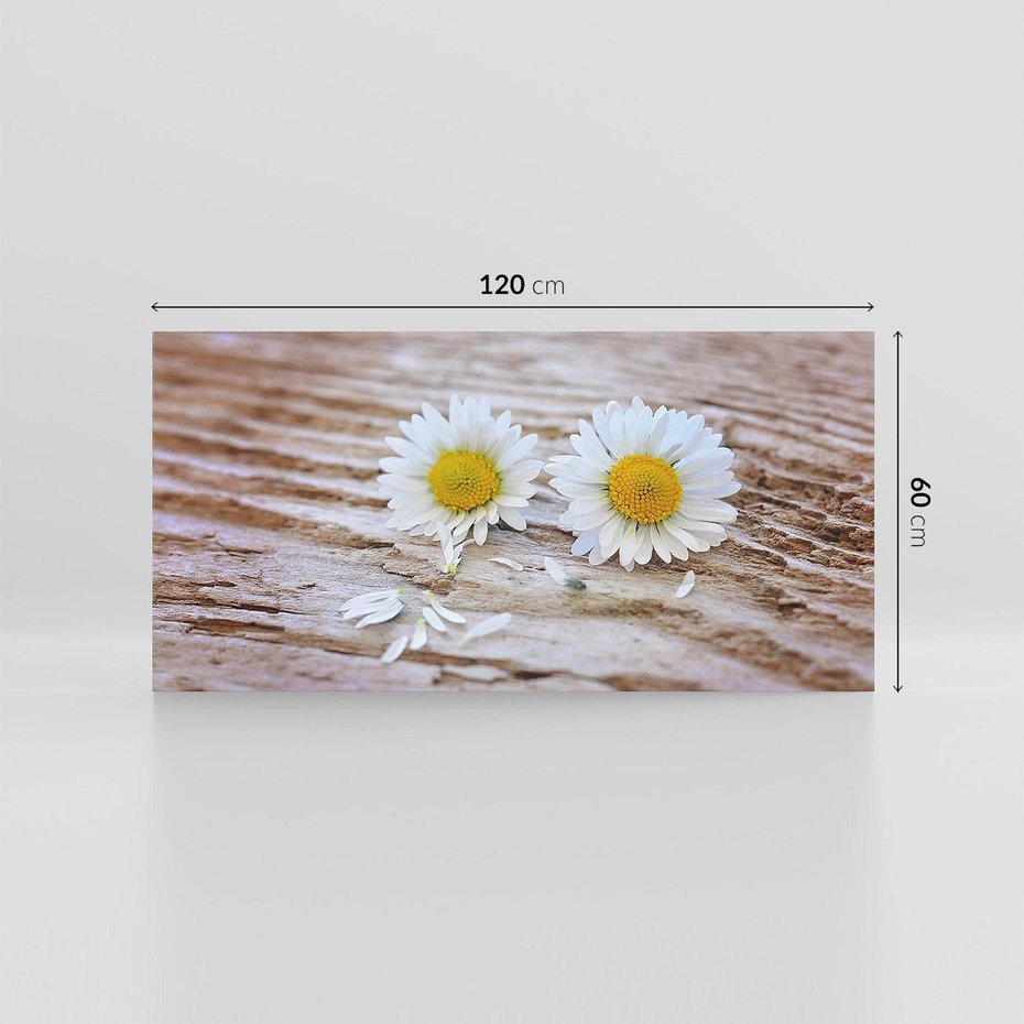 Obraz na płótnie 120x60 - Stokrotkowa Delikatność - stokrotka, kwiaty