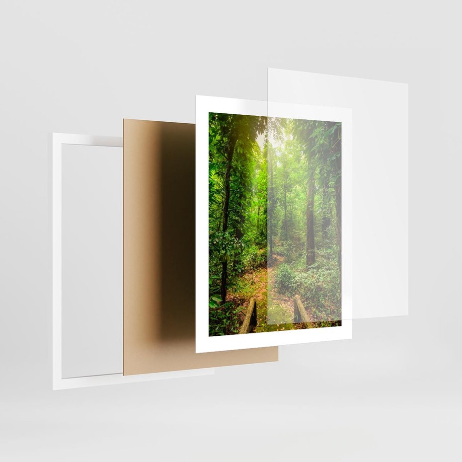 Plakat w ramie 40x50 - Współistnienie z naturą - drzewa, las - rama biała