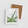 Plakat w ramie 40x50 - Zielone Piękno - aloes, liście - rama biała
