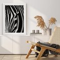 Plakat bez ramy 50x70 - Pasy Zebr - zebra, paski