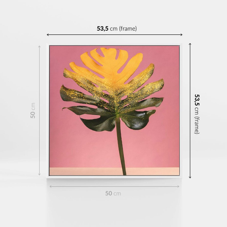 Obraz w ramie 50x50 - Majestatyczna monstera - monstera, liść - rama biała
