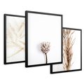 Zestaw obrazy w ramie 30x40 galeria - Boho, trawy, suche - rama czarna