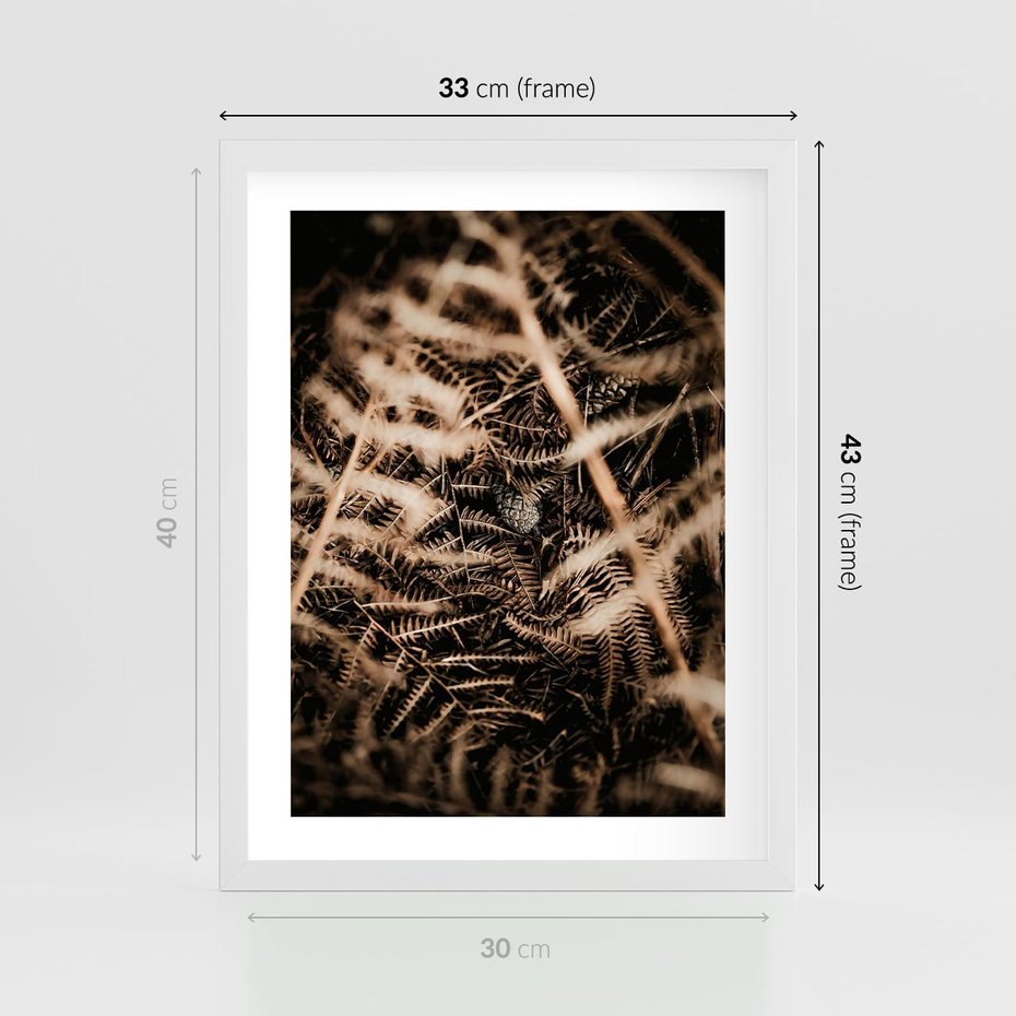 Plakat w ramie 30x40 - Liście i Paprocie - suche liście, paprocie - rama biała