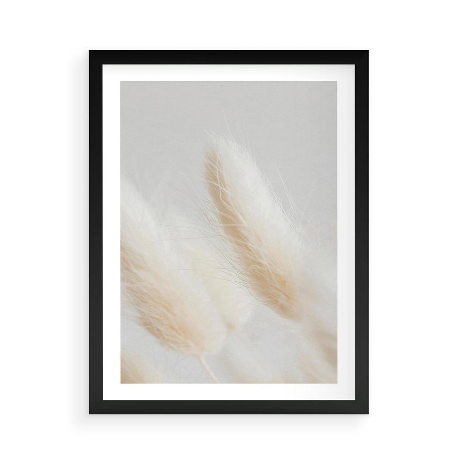 Plakat w ramie 50x70 - Czysty Minimalizm - białe trawy, minimalizm - rama czarna