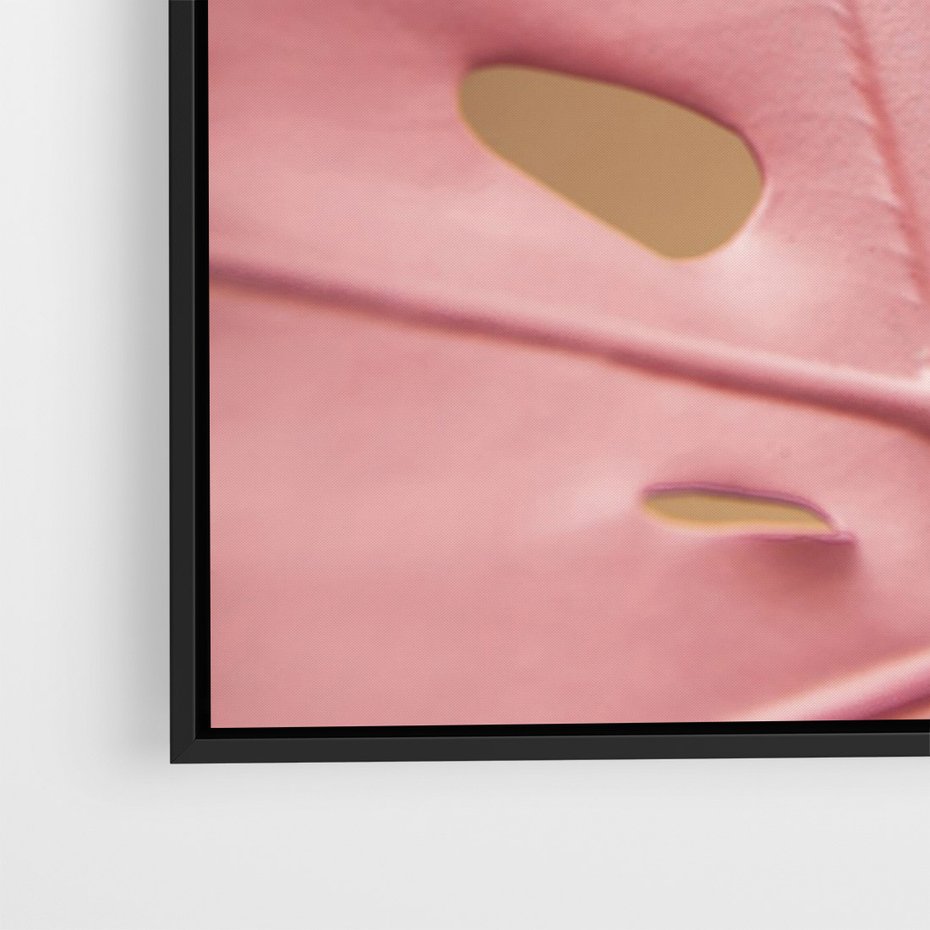 Obraz w ramie 50x70 - Różowa monstera w pełnym rozkwicie - różowa, monstera - rama czarna