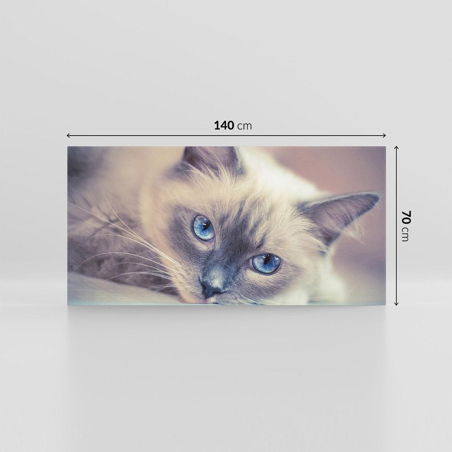 Obraz na płótnie 140x70 - Kotek w artystycznym stylu - kot, kotek