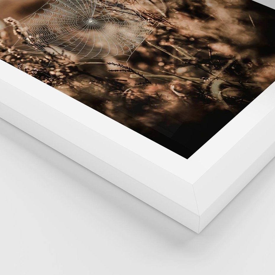 Plakat w ramie 40x50 - Jesienny Mikrokosmos - suchetrawy, jesienny klimat - rama biała