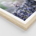Plakat w ramie 40x50 - Delikatna Uroda Natury - wrzosy, fiolet - rama drewno