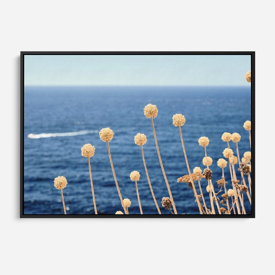 Obraz w ramie 70x50 - Kontrasty Natury - fotografia, pierwszy plan sucha roślinność - rama czarna