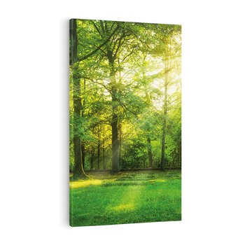 Obraz na płótnie 80x120 - Moc lasu - las, drzewa