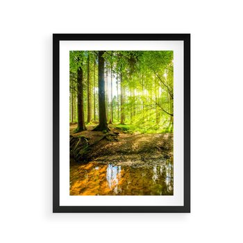 Plakat w ramie 50x70 - Las nad Wodą - las, woda - rama czarna