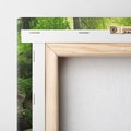 Obraz na płótnie 60x60 - Ukojenie strumienia: Spotkanie z naturą - strumyk, las