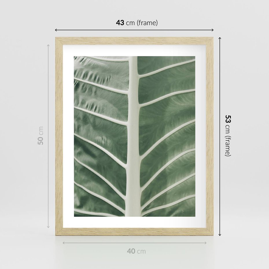 Plakat w ramie 40x50 - Zielone Wielkości: Zbliżenie Liścia - zbliżenie duz liść, jasna zieleń - rama drewno
