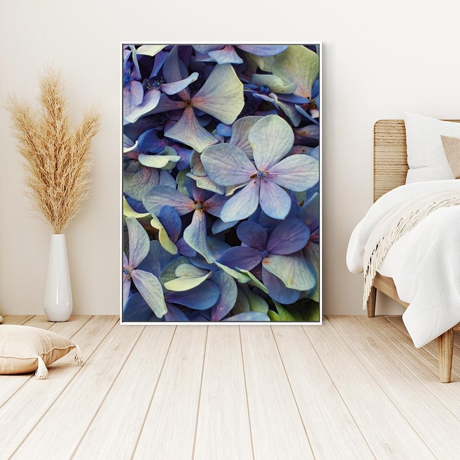 Obraz w ramie 80x120 - Hortensja - delikatność kwiatów - hortensja, kwiaty - rama biała