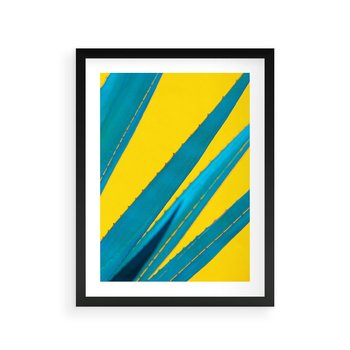 Plakat w ramie 40x50 - Świeżość Natury - aloes, liście - rama czarna