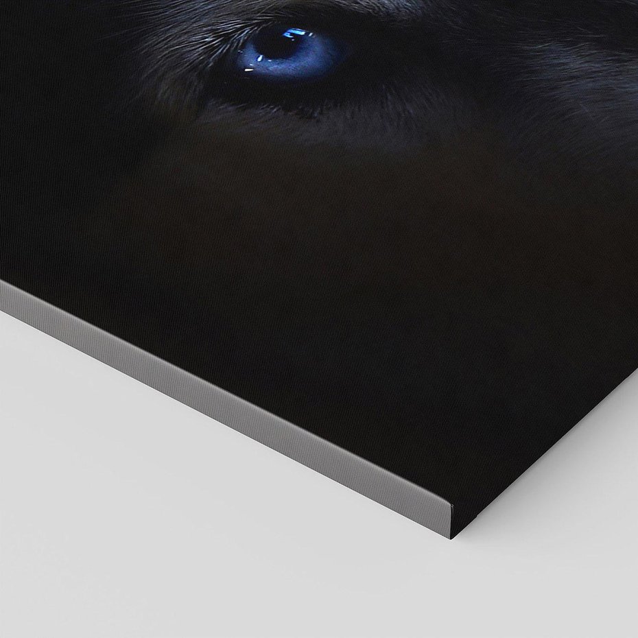 Obraz na płótnie 150x50 - Wilk i husky: siła przyjaźni - wilk, husky