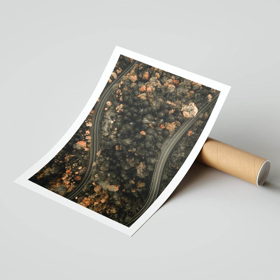 Plakat bez ramy 50x70 - Las i Droga w Kolorach Jesieni - droga, ujęcie z góry