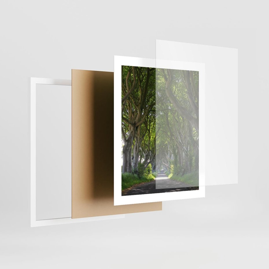 Plakat w ramie 40x50 - Magiczny Las - drzewa, las - rama biała