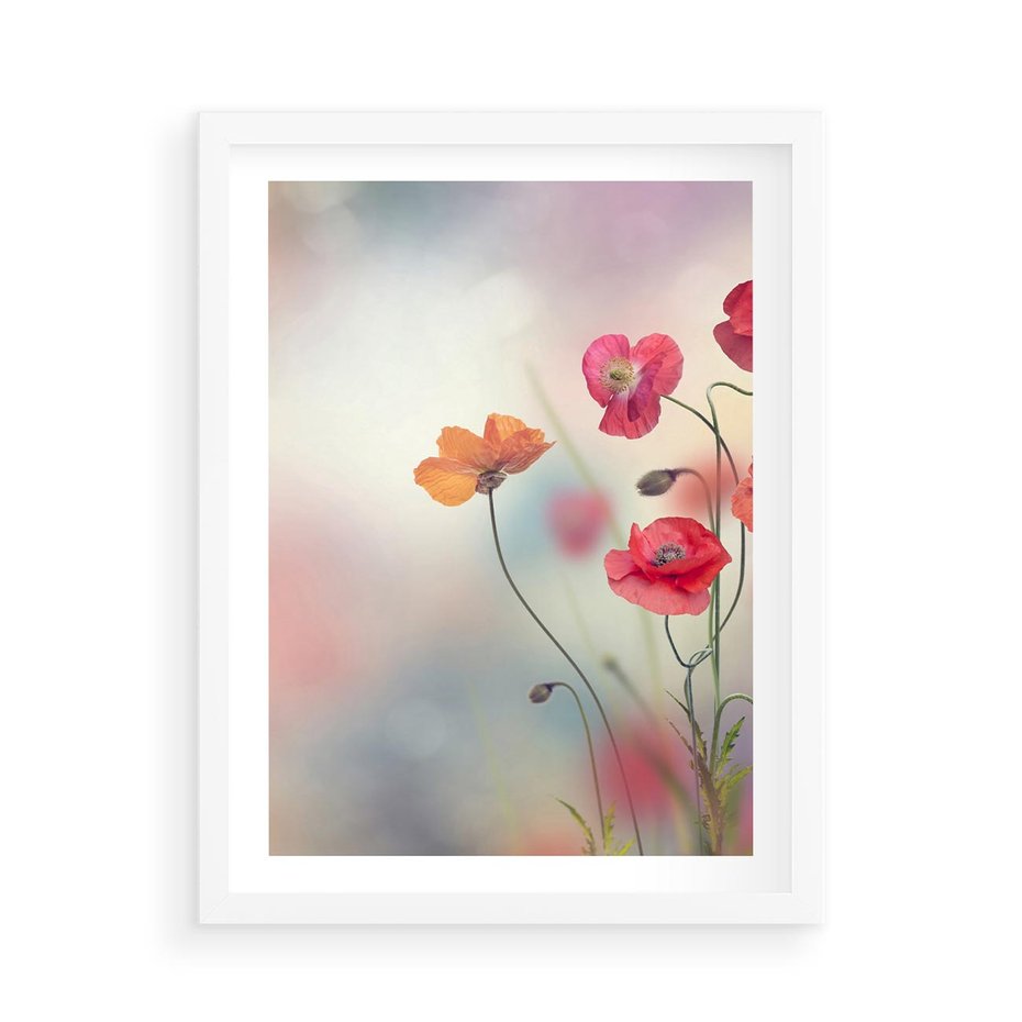 Plakat w ramie 50x70 - Urok natury - kwiaty, akwarela - rama biała