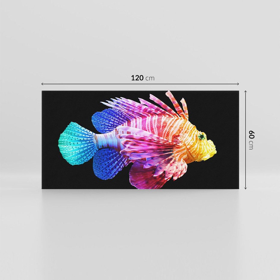 Obraz na płótnie 120x60 - Tęczowa Piękność - kolorowa tęczowa ryba, mocny akcent na czarnym tle