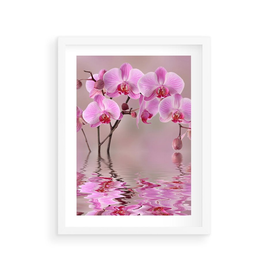 Plakat w ramie 30x40 - Relaksacyjne spa w otoczeniu storczyka - spa, storczyk - rama biała