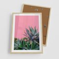 Plakat w ramie 50x70 - Tropikalne Liście na Różowej Ścianie - różowa ściana, tropikalne liście na jej tle - rama drewno