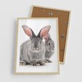 Plakat w ramie 50x70 - Uroczy królik wśród natury - królik, zając - rama drewno