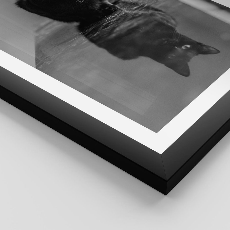Plakat w ramie 30x40 - Kocie Oczy - kot, czarno białe zdjęcie - rama czarna