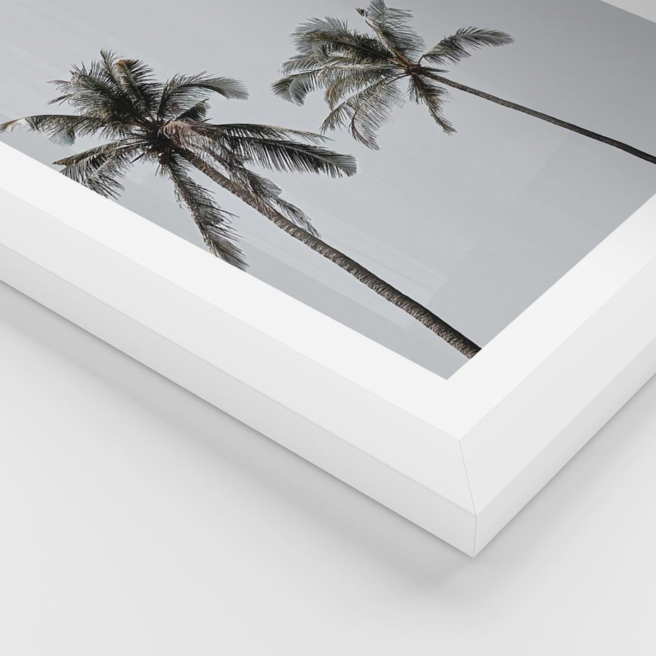 Plakat w ramie 30x40 - Tropikalny Raj: Palmy i Niebo - palmy, niebo - rama biała