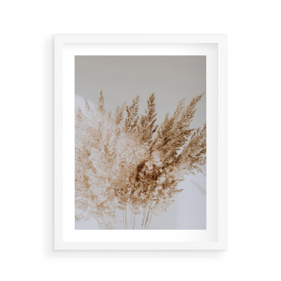 Plakat w ramie 40x50 - Boho Urok Traw Pampasowych - suche trawy, pampas - rama biała
