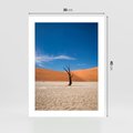 Plakat bez ramy 30x40 - Słońce i Suche Drzewo - pustynia, suche