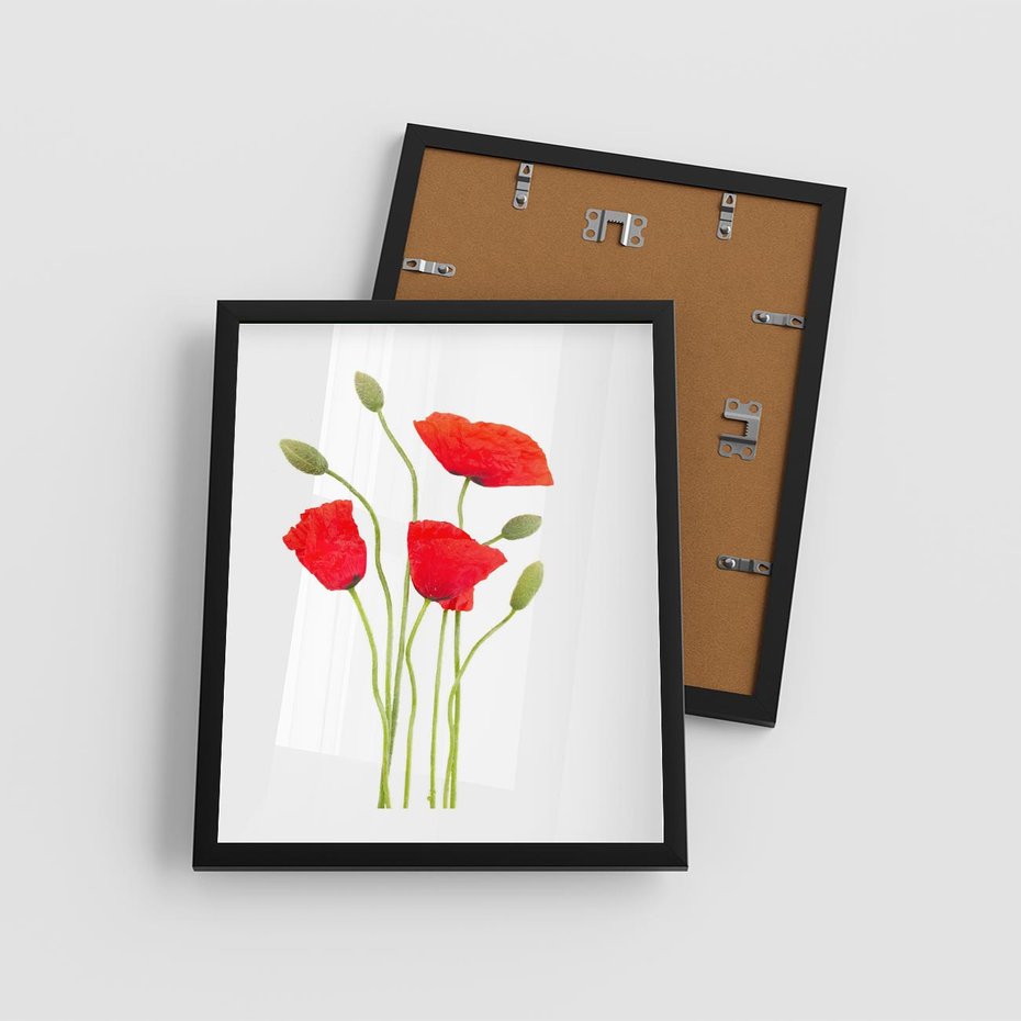 Plakat w ramie 40x50 - Pola maków w pełnym kolorze - maki, kwiaty - rama czarna