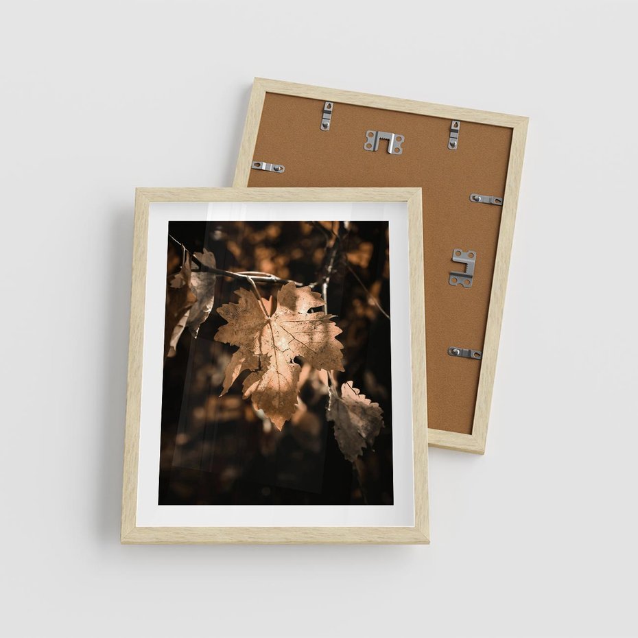 Plakat w ramie 40x50 - Uroczy Liść na Drzewie - jesienny liść, żółty liść na drzewie - rama drewno
