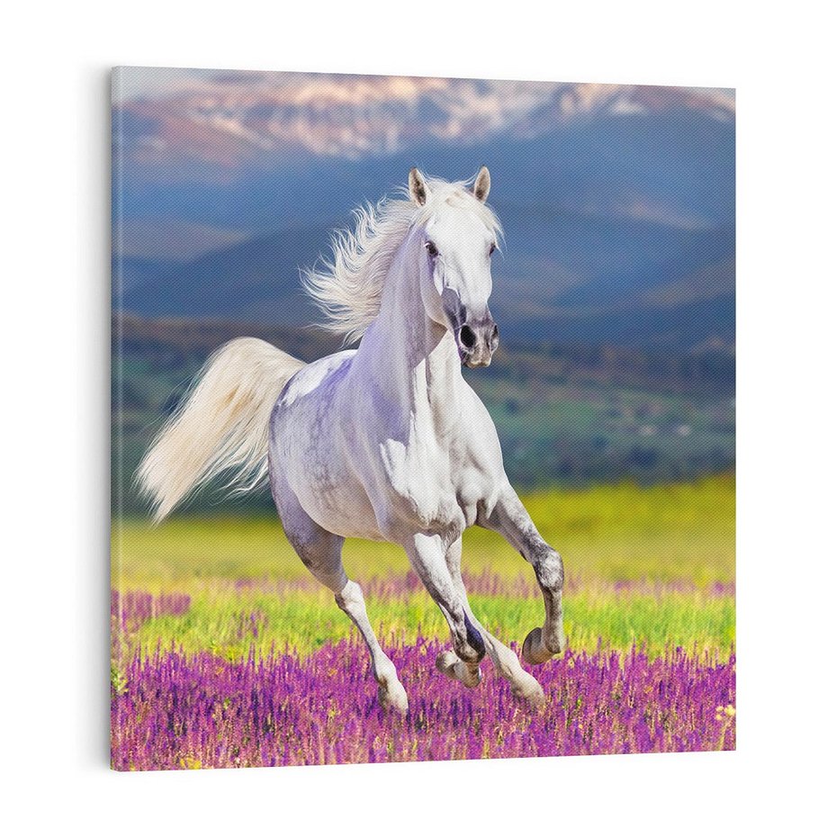 Obraz na płótnie 70x70 - Koń Góry: Spotkanie z Wielką Przyrodą - koń, góry