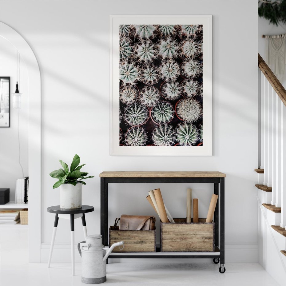 Plakat bez ramy 21x30 - Wzór Kaktusów - kaktusy w doniczkach, ujęcie z góry