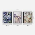 Zestaw obrazy w ramie 30x40 galeria - Suche, kwiaty, hortensje, boho - rama czarna