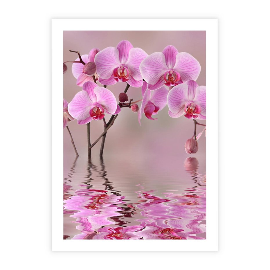 Plakat bez ramy 21x30 - Relaksacyjne spa w otoczeniu storczyka - spa, storczyk