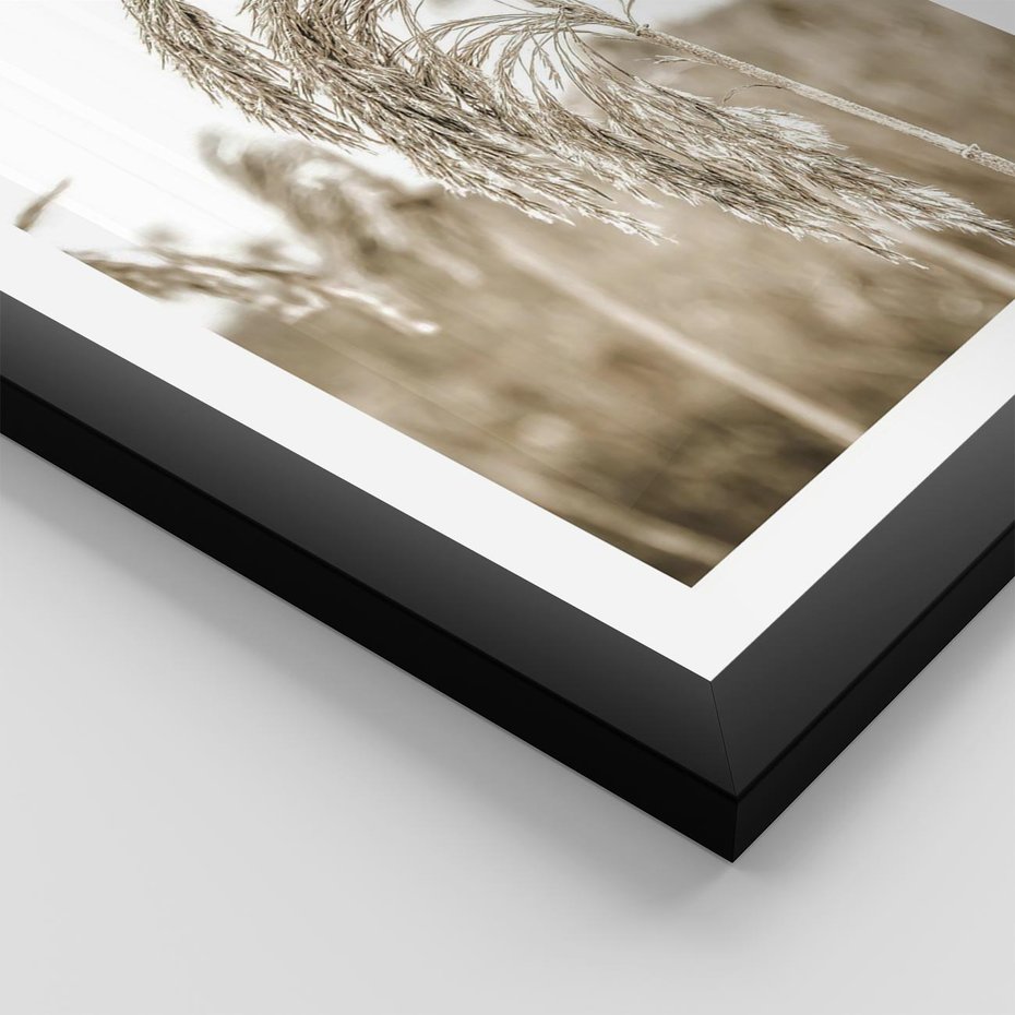 Plakat w ramie 50x70 - Ujęcie Suchych Traw - suche trawy, zbliżenie - rama czarna