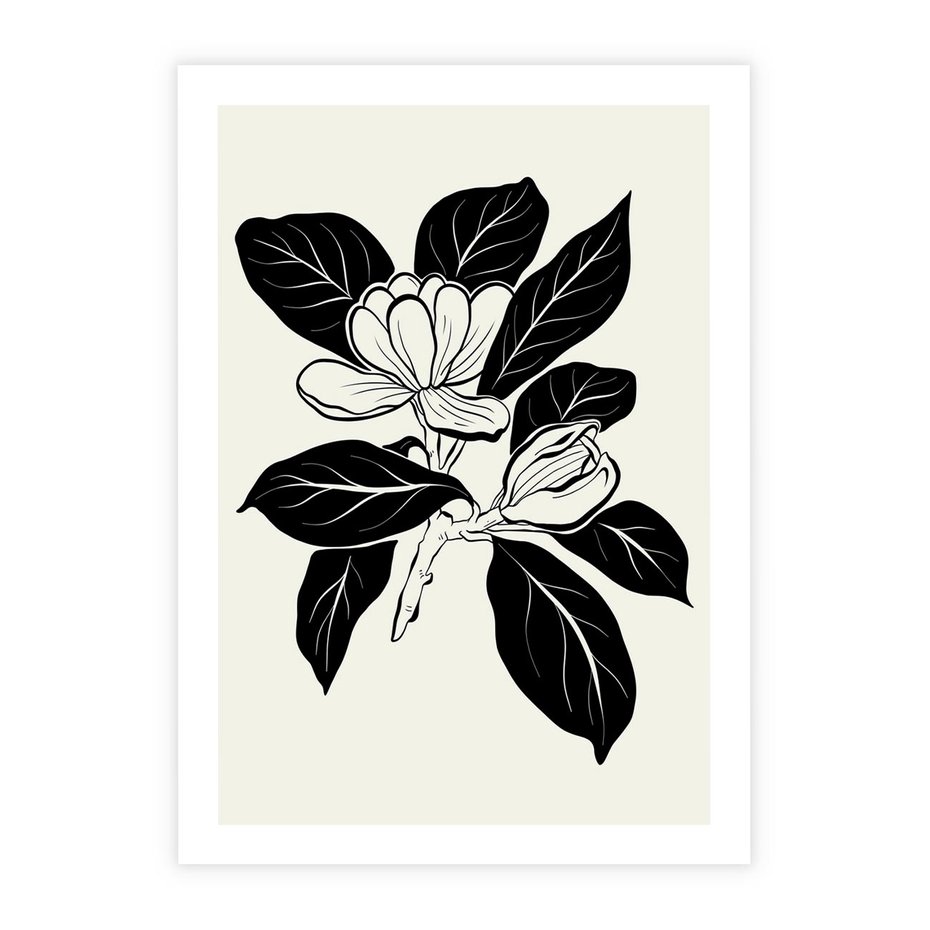 Plakat bez ramy 30x40 - Spojrzenie w kształty kwiatów - kwiaty magnolii, minimalizm